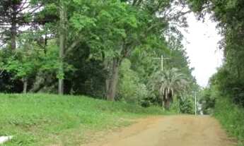 Imagem 5: Sítio para Venda - 30000m², 3 dormitórios, sendo 1 suites, Lageado