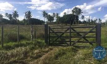 Imagem 6: MONTE ALEGRE - Fazenda - Arena