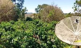 Imagem 4: Sitio com 2.08 Alqueires com Café em São Sebastião do Paraiso