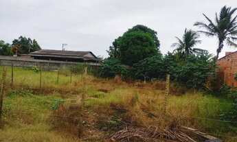 Imagem: Vendo lote entrada de barra nova primeira