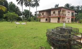 Imagem 6: Fazenda em Maragogipe com Píer