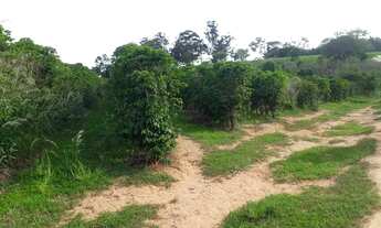 Imagem 6: SÍTIO COM CAFÉ !!!