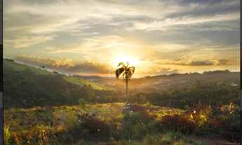 Imagem 6: Terreno para Venda - 0m², 0 dormitórios, Vila Nova