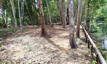 Imagem: Terreno com igarapé, troco em terreno ou