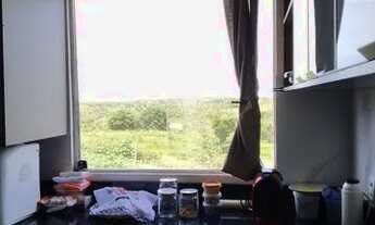 Imagem 5: Aluga-se casa 1° andar