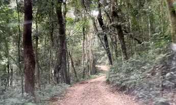 Imagem 2: Sítio Atibaia 2 Alqueires . ( 48.400 mts