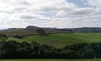 Imagem 4: 40 alqueires 30 lavoura Ivaí -PR