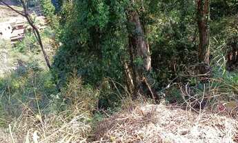 Imagem 4: Terreno Residencial- Petrópolis, Itaipava