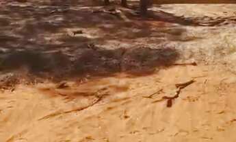 Imagem 2: Vende-se uma excelente fazenda de 1.100 hectares