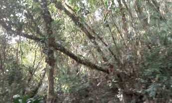 Imagem 4: 5 hectares 100 mil reais