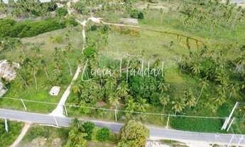 Imagem 4: Terreno Alto do Tatu - Tatuamunha