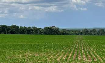 Imagem 3: Fazenda 2.436hec nova Motum com silo, R$:1.100.000 sacas soja