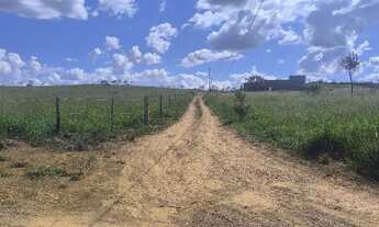 Imagem: Vendo Chácara de 2.500 Mil metros na Região