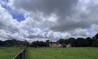 Imagem 2: ÁREA DE 6.000 M² EM TRINDADE Lote à Venda, 6000.00 por R$ 850000.00 no setor Parque Serra