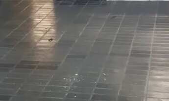 Imagem: Alugo apartamento no Pontalzinho