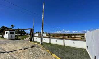 Imagem 2: Terreno 200m² - Loteamento Dom Valenthym - Paripueira / AL