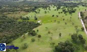 Imagem 3: Fazenda à Venda em Faina GO | 101 Alqueires