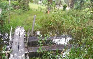 Imagem: Vende se terreno medindo 100x150m