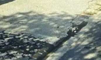 Imagem 5: Terreno à Venda ? 127,30m² no Jardim Santa Maria