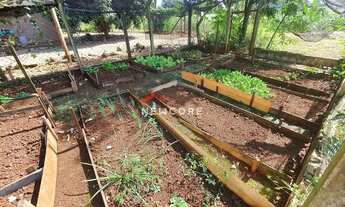 Imagem 7: Chácara em ESTRADA DO JERICÓ - Aeroporto - Londrina/PR