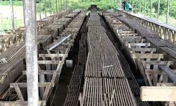 Imagem 7: Fazenda 2.500 X 2.600 na AM 010 km 164 9.000.000