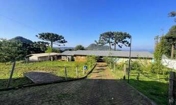 Imagem 5: Sitio - Bairro Serra Grande