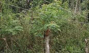 Imagem 6: Terreno 10x25 Bairro Branca Flor