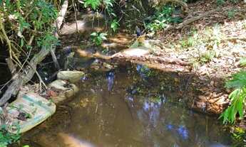 Imagem 2: ? SÍTIO / TERRENO RURAL À VENDA OU TROCA - 84.000 m² (2 ALQUEIRES