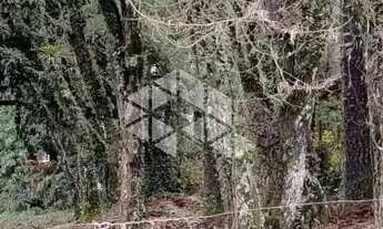 Imagem 2: Terrebo de esquina com 1084m² Canela