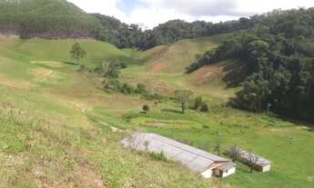 Imagem: Venda-se propriedade de 12 alqueires no