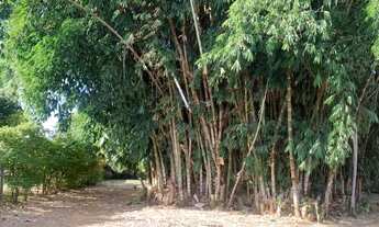 Imagem: Chácara em Jardim Marajoara - Nova Odessa