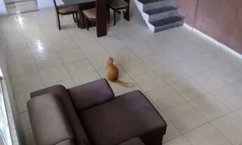 Imagem 5: Vendo Casa Casa com 3 dormitórios