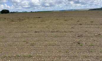 Imagem 2: Fazendinha altitude pra café patrocínio Minas Gerais