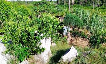 Imagem 2: Vende se ou troca por caminhão, casa, carro ou lote rural