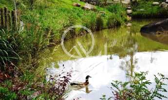 Imagem 3: Terreno à venda Pedancino Caxias do Sul/RS