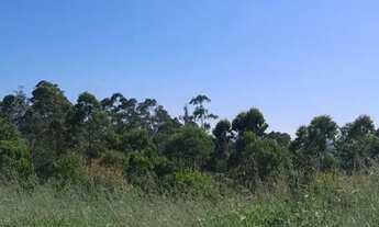 Imagem 6: Terrenos para venda possui 1000 metros quadrados em Centro (São João Novo) - São Roque - S