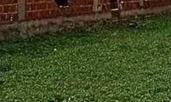 Imagem 3: Lote à venda em rua pública, MOSQUEIRO, Aracaju, SE