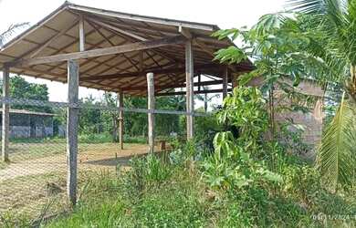 Imagem 7: Vendo Sítio na Estrada de Autazes