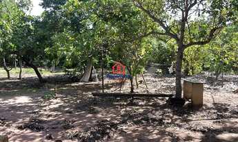 Imagem 5: Vende-se linda chácara a poucos metros da Praia da Graciosa