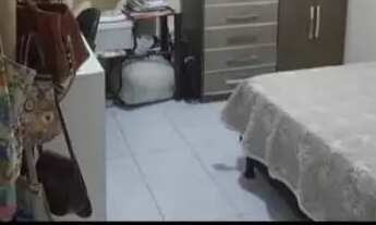 Imagem 3: Repasse privê em pau amarelo