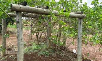 Imagem 7: CHÁCARA 4.800 m² COM CASA PRONTA - 53 km de Goiânia OFERTA PARA VENDER RÁPIDO