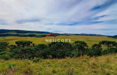 Imagem 6: Fazenda em RS 020 - Ouro Verde - Cambará do Sul/RS