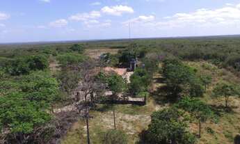 Imagem 5: Excelente Oportunidade de Investimento!