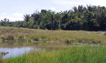 Imagem 6: Vendo Fazenda em Rorainópolis, Roraima