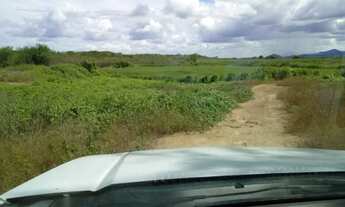 Imagem 5: Fazenda con 25.6 hectares em JUCURUTU estruturada para criação de gado