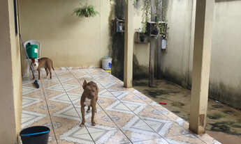 Imagem 2: Casa para alugar