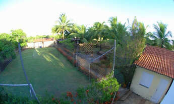 Imagem 5: Matapua mosqueiro