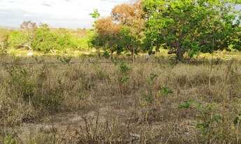 Imagem 6: Fazenda/Sítio/Chácara para venda possui 540000 metros quadrados com 3 quartos