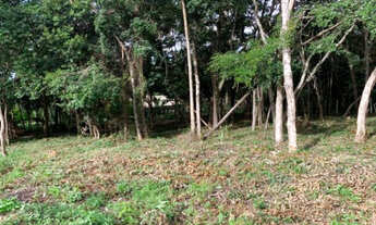 Imagem 5: Maravilhosa chácara de 2.000 m², Serra do Cipó (Temos varias opções