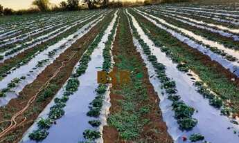 Imagem 3: Chacara 5.2 hectares em Brazlandia DF -Plana